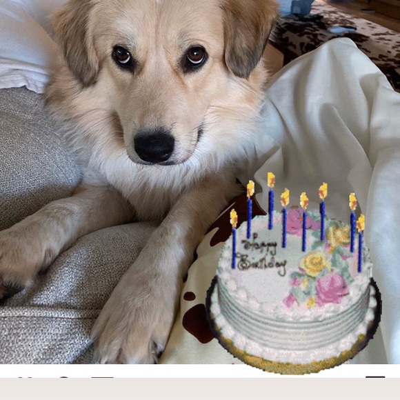 🙋🏻 Posh Ambassador - Picture 14 of 17